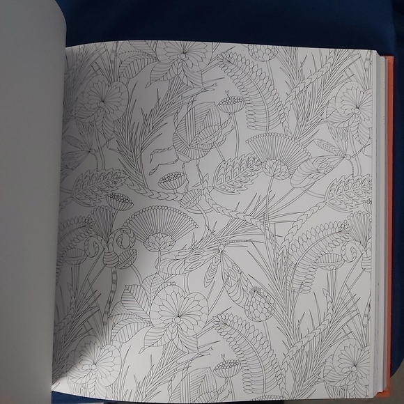 𝅺coloring book Wild Savannah‎ - Picture 4 of 7